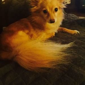 Meet your Posher, Yvette